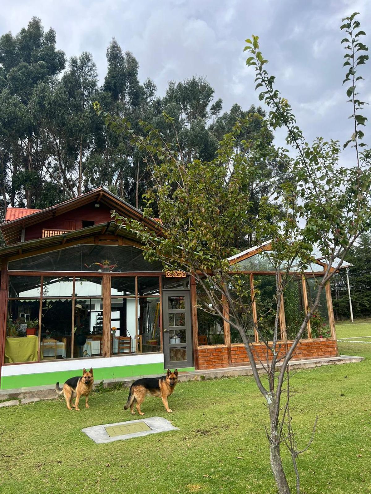 Resort Alapa Huancayo Exteriör bild